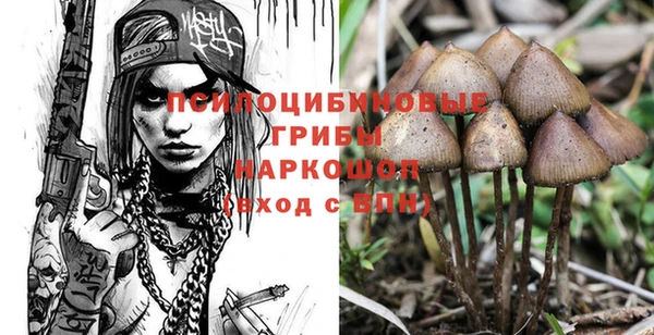 гидра Абдулино