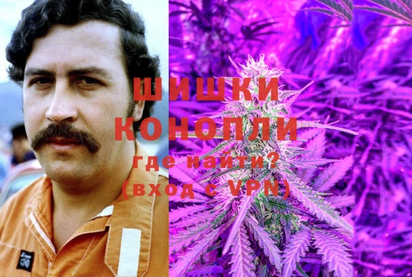 герыч Алексин