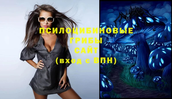 герыч Алексин