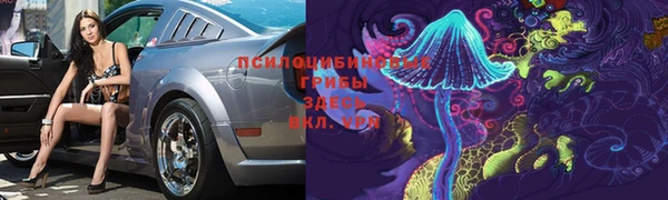 хмурый Алексеевка